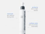 Dermalogica Intensive Moisture Cleanser For Dry Skin Hot on Sale